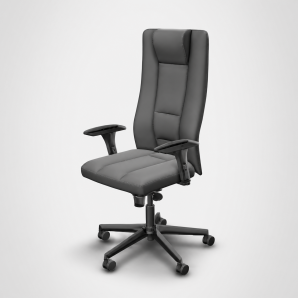 fauteuil direction ergonomique_Belgique