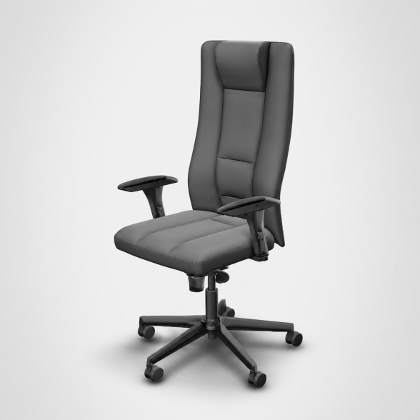 fauteuil direction ergonomique_Belgique