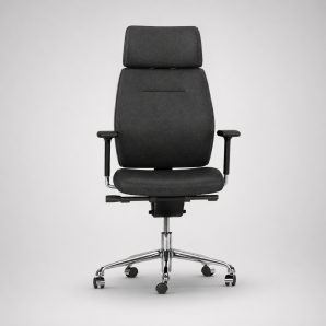 fauteuil direction ergonomique-Belgique