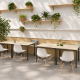 chaise bois design_Belgique