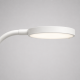 lampe bureau professionnelle_Belgique