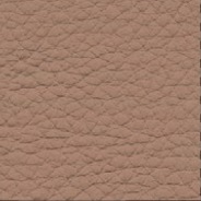 Piel-taupe (cuir)